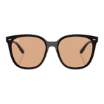 Очки RayBan Logo 1/ 2/ 3/ /, 0RB4423D