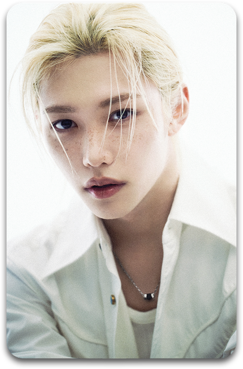 Карта / STRAY KIDS #2445