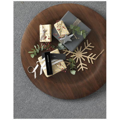 Шариковая ручка-стилус Dash