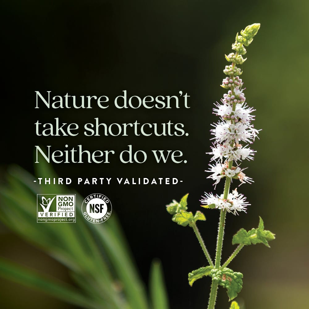 New Chapter, Estrotone, 60 вегетарианских капсул