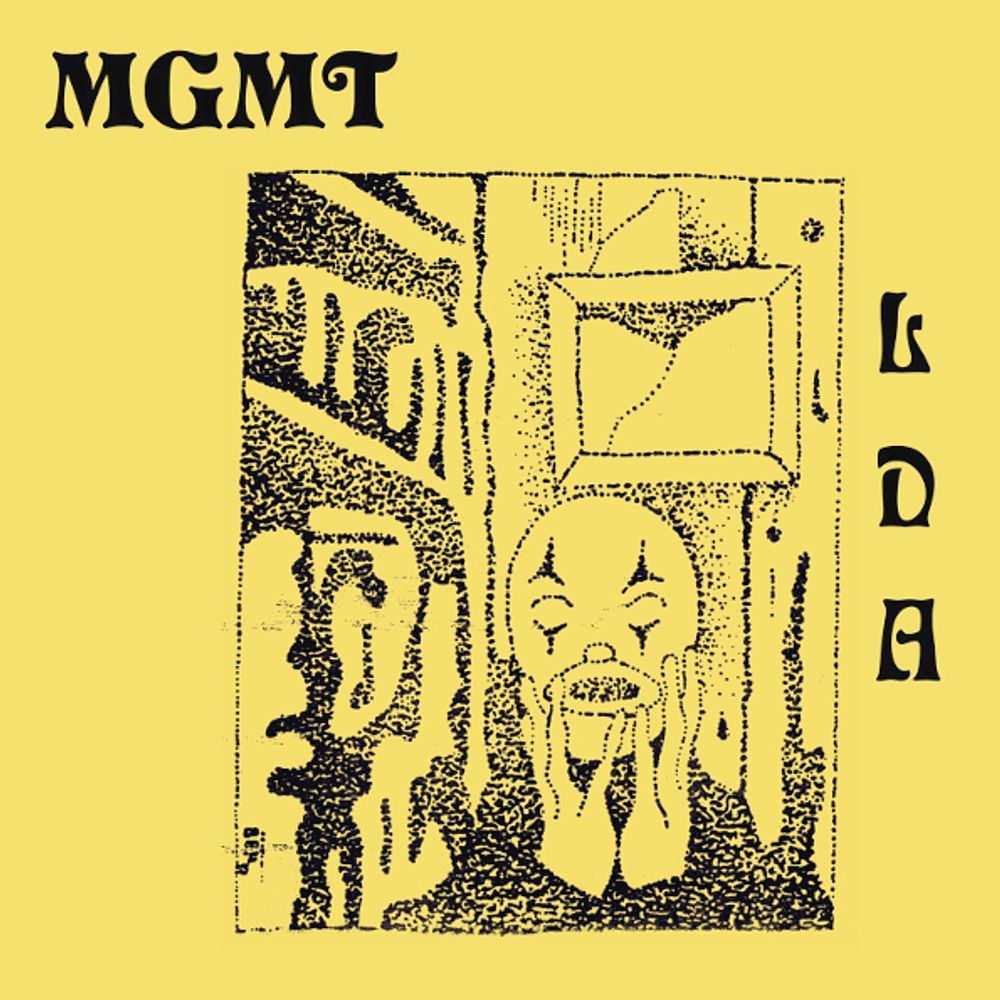 MGMT / Little Dark Age (CD)