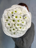 Букет ромашек Кеннеди