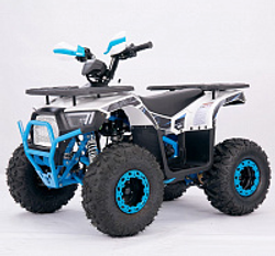 Квадроцикл YACOTA SIRIUS 110