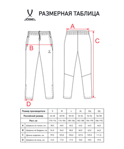 Брюки спортивные CAMP 2 Lined Pants, темно-серый