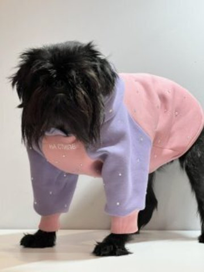 Толстовка для собак с капюшоном, 32 см. (одежда для собак мелких, средних и крупных пород)