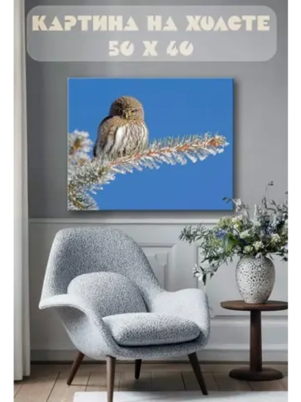 Картина на стену 40 X 50 Сова