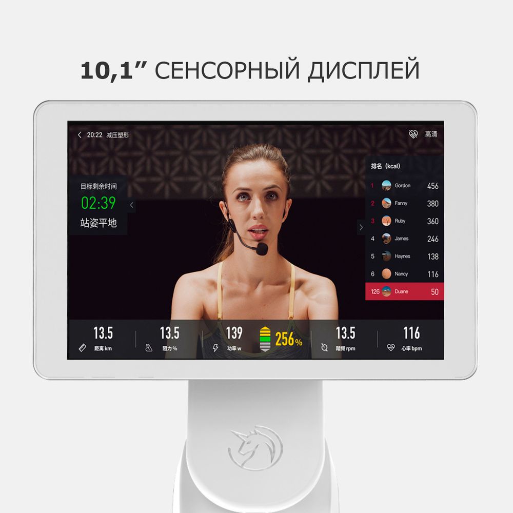 Велотренажер Xiaomi Yesoul BS3-W PRO