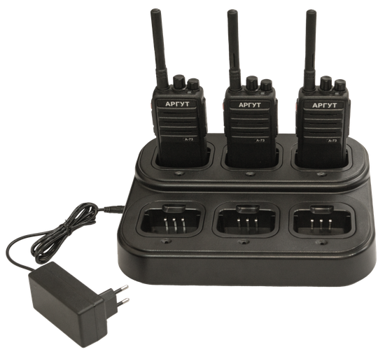 Зарядное устройство шестипозиционное Аргут А-73 SET6-73