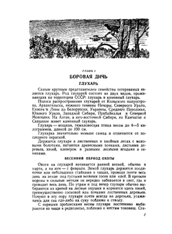Ружейно-спортивная охота | Г. Е. Рахманин