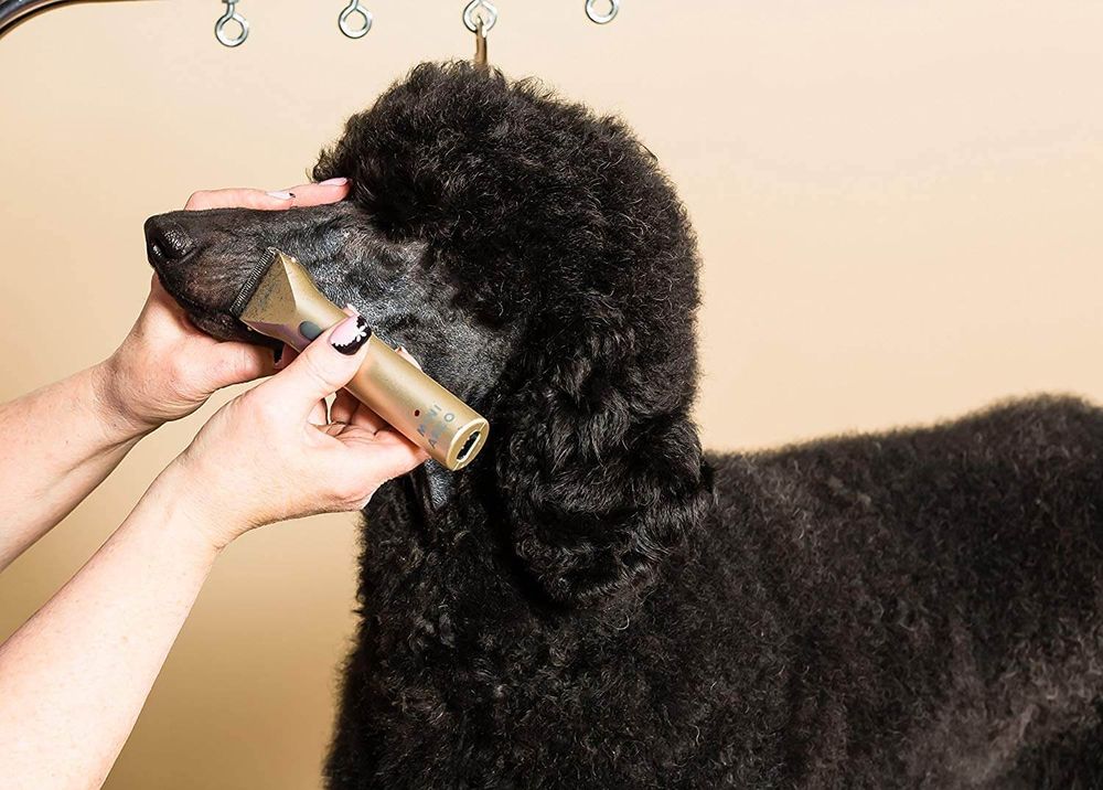 Триммер для стрижки животных Wahl miniArco (1565-0473) - 6