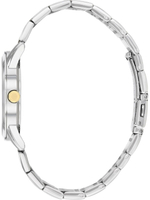 Мужские наручные часы Citizen BI5006-81P