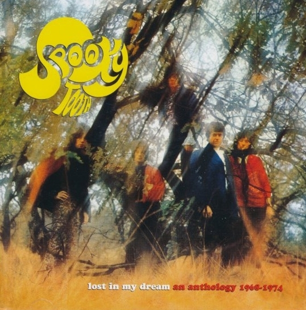 Spooky Tooth / Lost In My Dream - An Anthology 1968-1974 (2CD)