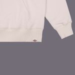  Толстовка мужская Dickies Park Hoodie артикул:DK0A4YEHF901 - купить в магазине Дайс