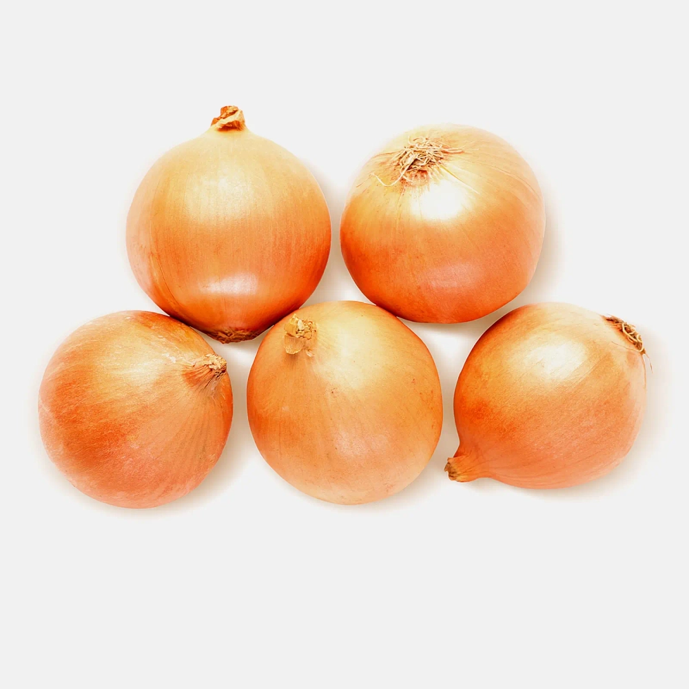 Лук репчатый