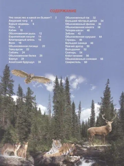 ЭНЦИКЛОПЕДИЯ ДЛЯ ДЕТЕЙ новые. КТО В ЛЕСУ ЖИВЁТ?