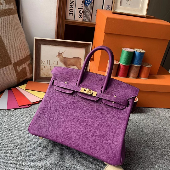 Hermes Birkin 25