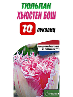 Тюльпан Луковица, Хьюстен Бош, 10шт