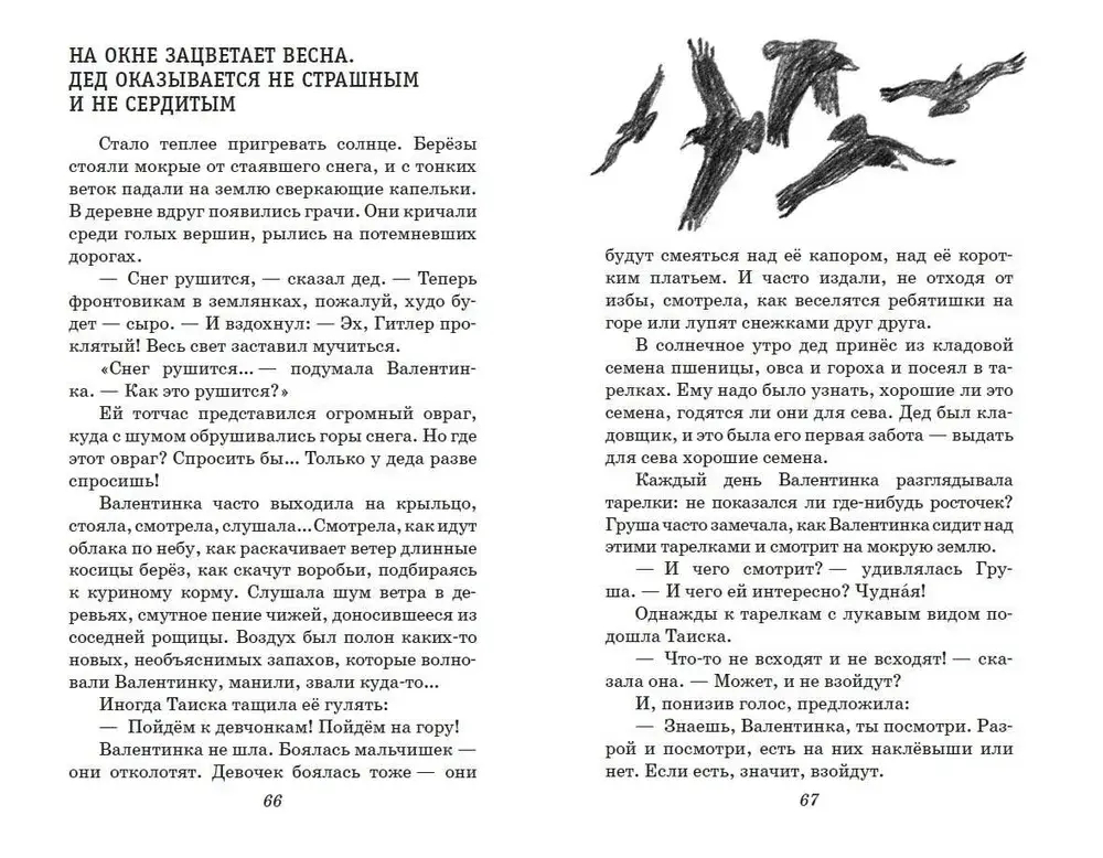 Девочка из города. Повести (ил. В. Гальдяева)