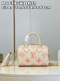Louis Vuitton Speedy 20