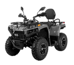 Квадрицикл Bizon YK250 BASIC CARB Серый