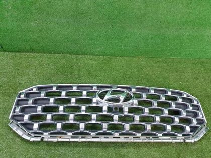 Решетка радиатора Hyundai Santa Fe 4 TM (20-24)