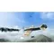 PS5 Warplanes: WWI Sky Aces + WW2 Dogfight (Новый, Русские субтитры)