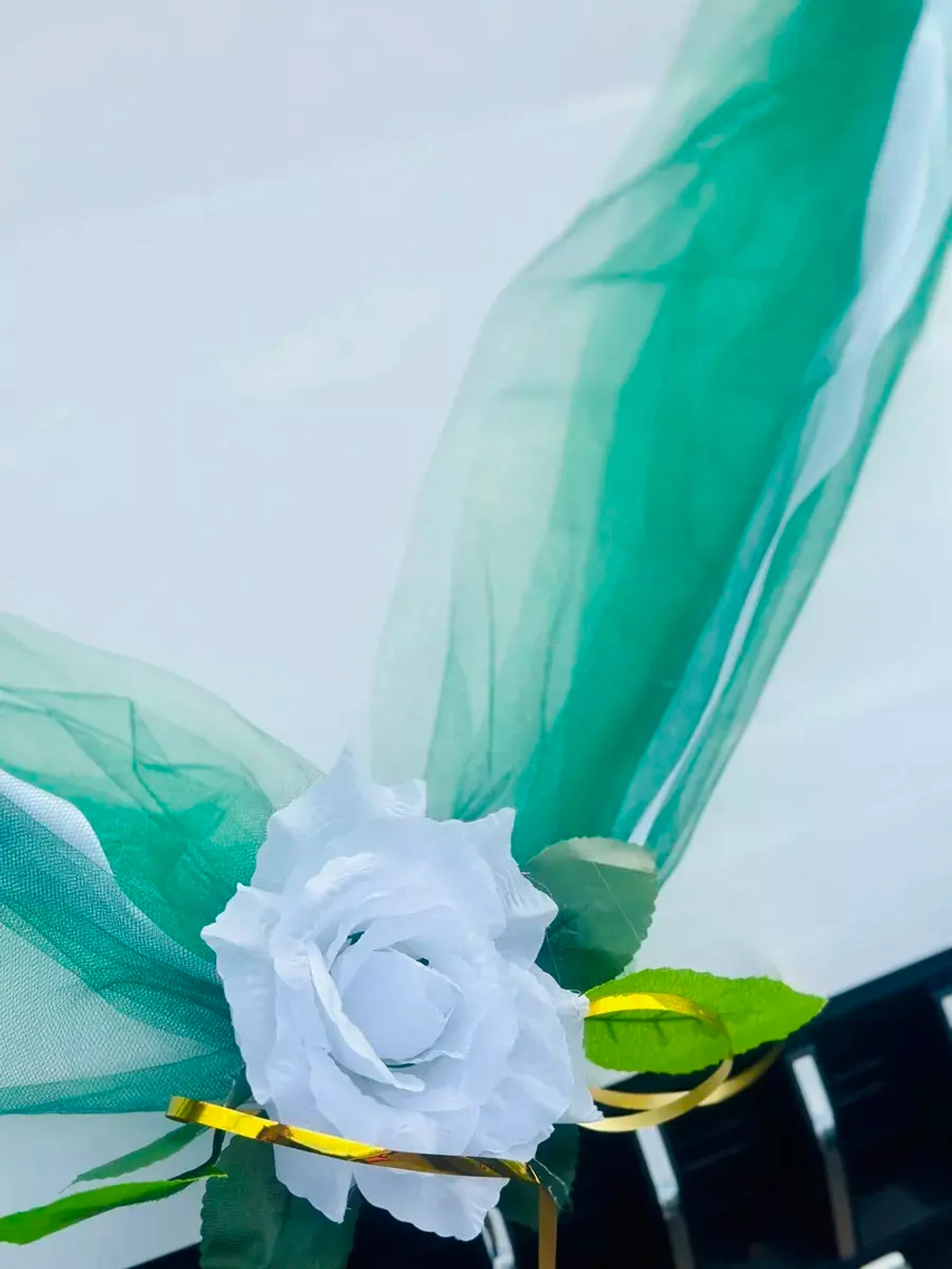 Лента на капот