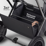 Коляска 2в1 Sweet Baby Massimo Black (Air)