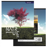 Тетрадь 36 л., А5, клетка, Alingar "Nature power", скрепка, второй блок 60г/м2, мелованный картон (стандарт), 4 дизайна в пленке т/у
