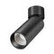 Потолочный светильник Maytoni Technical C055CL-L12W4K-SS-B