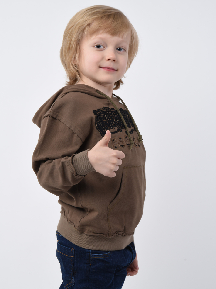 Толстовка для мальчика