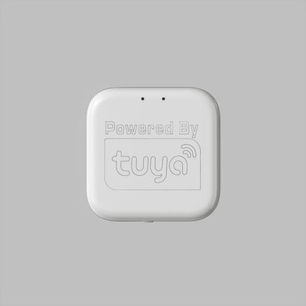 Управление SMART TUYA