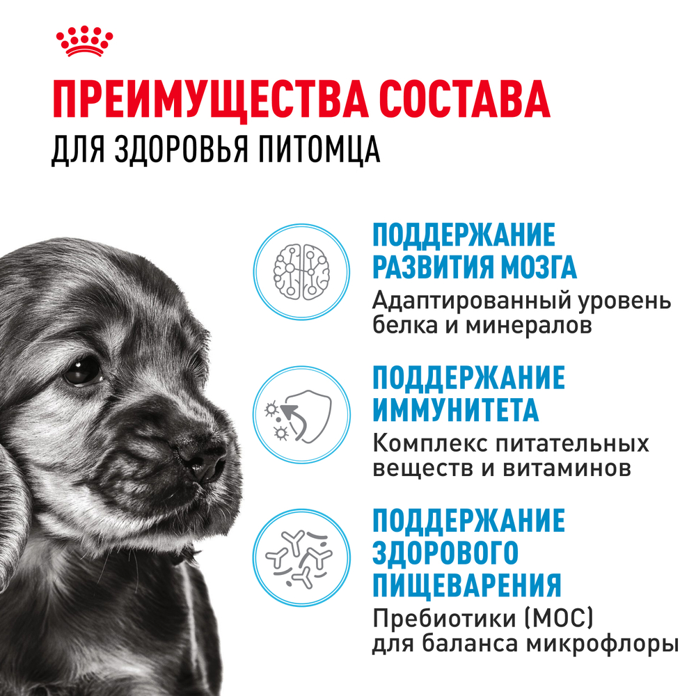 Royal Canin Mini Puppy Корм сухой для щенков мелких пород в возрасте до 10 месяцев - 0,8 кг