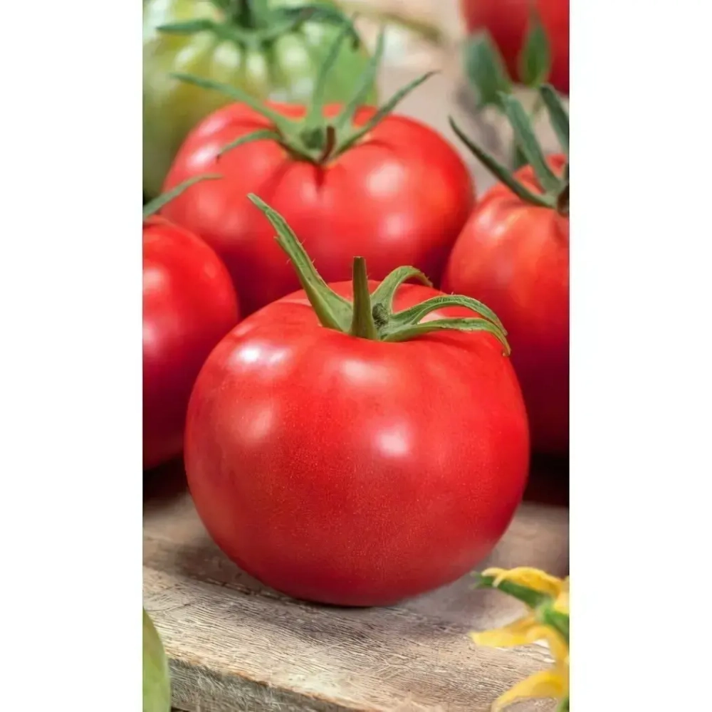 Семена Томат Яблочный (УД) Е/П