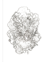 Encyclopedia of Strange Diseases. Coloring book