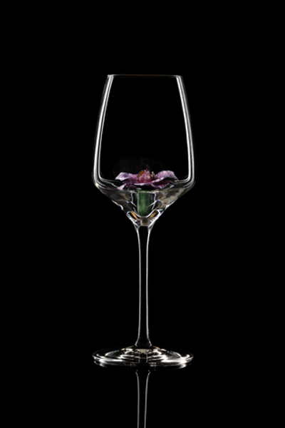 Бокал для белого вина. Орхидея Ванда. Низкая.