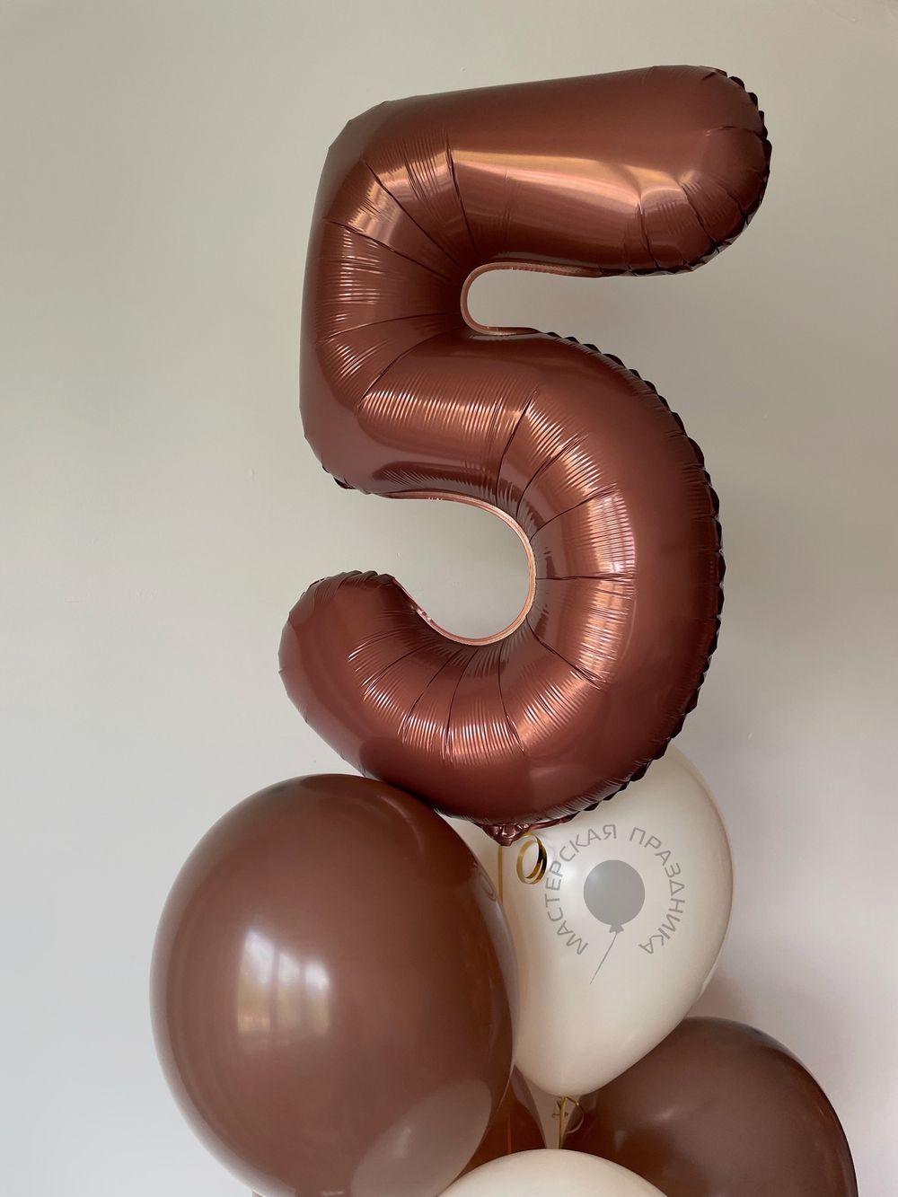 Воздушные шары на 5 лет №8571  Изображение2