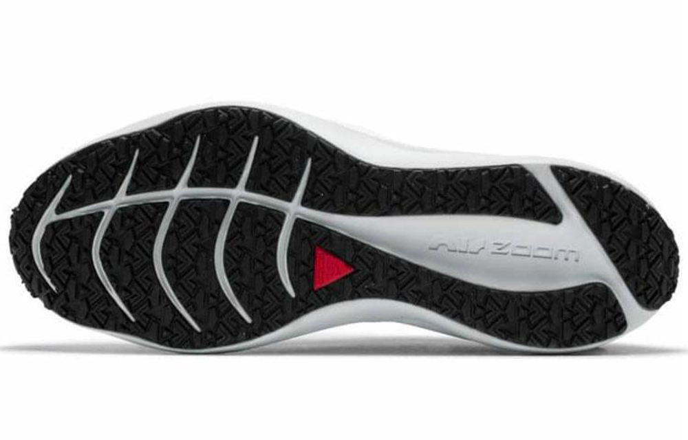 Кроссовки Nike Zoom Winflo 7 Shield