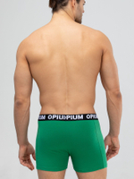 Хлопковые трусы-боксеры с двойным гульфиком (Размер: XXL) (Цвет: зеленый)