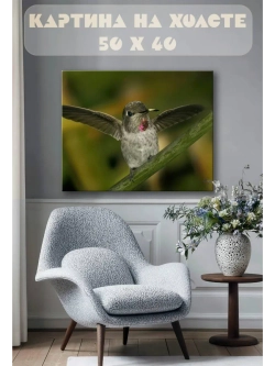 Картина на стену 40 X 50 Колибри