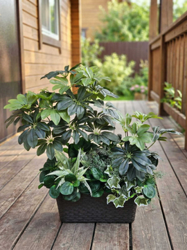 Зеленые искусственные растения в ящиках / вставках