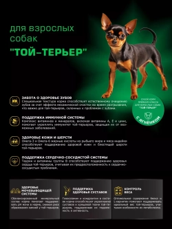 Корм сухой для собак породы Той-терьер, с ягненком, 800 гр