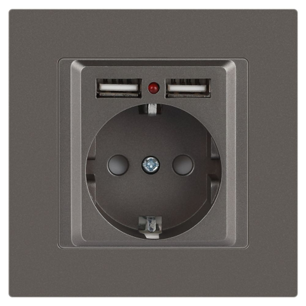 Розетка Intro Accent 6-410-09 с заземлением 2P+E Schuko со шторками 16А-250В + 2хUSB IP20 СУ титан