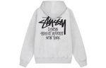 Худи Stussy DSM New York Logo, 3923739
