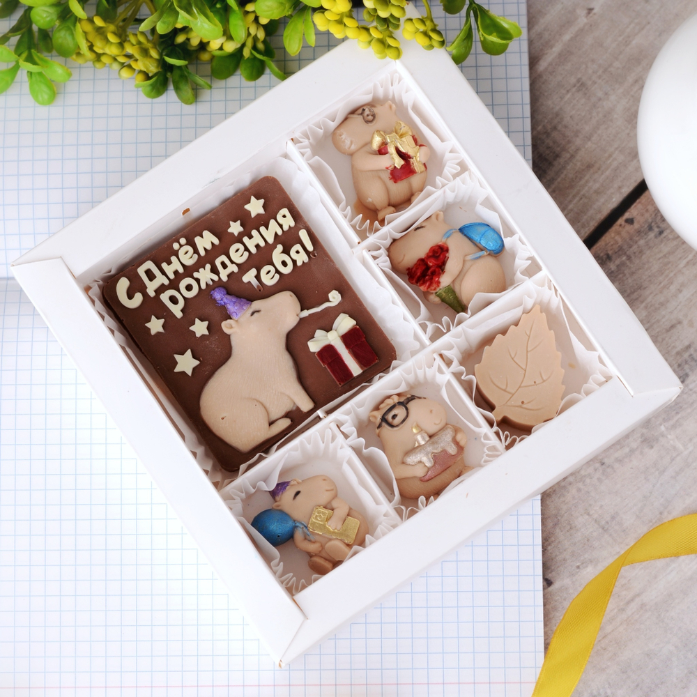 Набор "С днём рождения" с капибарами #3