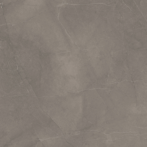 Керамический гранит Splash Grey серый 60х60 Сатинированный Карвинг ID435595