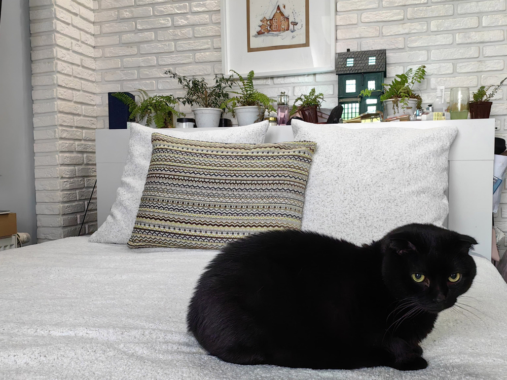 Текстильный комплект покрывало и подушки Альпака