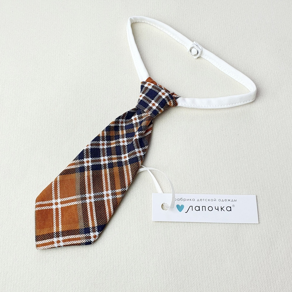 Галстук, Бежевый/клетка