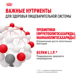 Royal Canin Medium Digestive Care Медиум Дайджестив кэа Корм сухой для взрослых собак средних размеров с чувствительным пищеварением 3кг