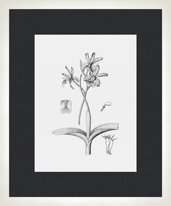 Картина 047 (X)